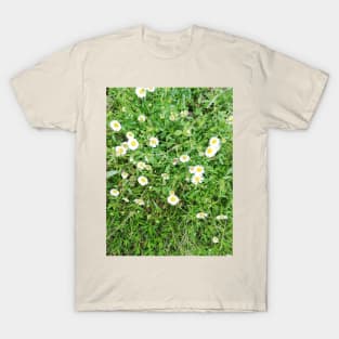 sweet little daisies T-Shirt